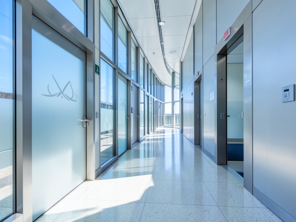Sunlit modern hospital corridor with glass walls brushed