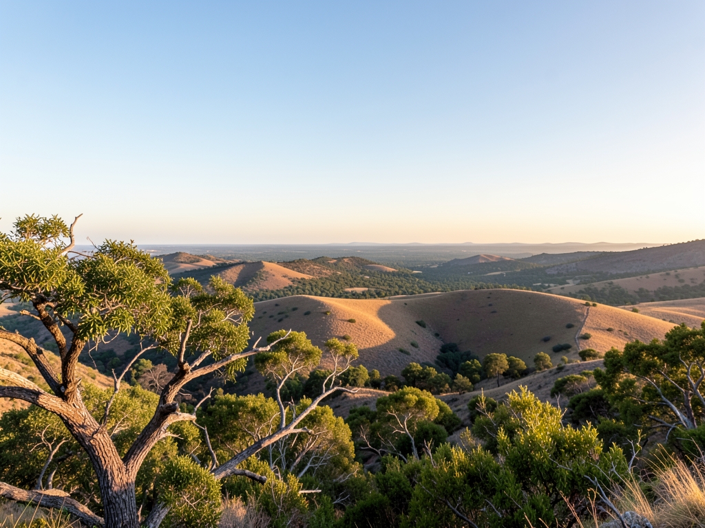 wide scenic landscape with open distant horizon natural