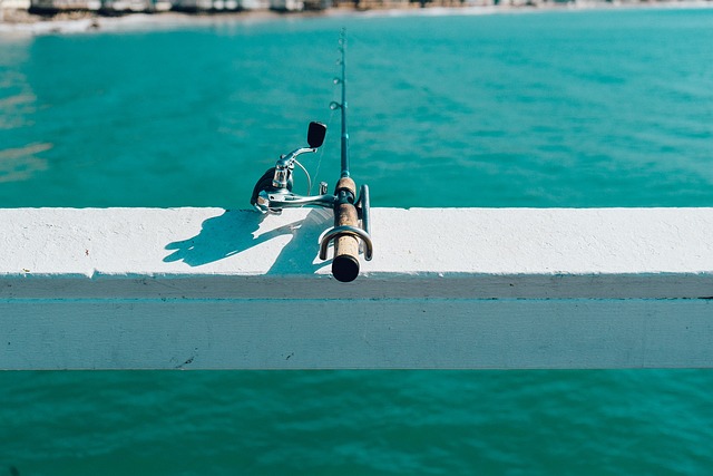 fishing rod pivot recreation activity water nature summer hobby catch crank line ocean pier sea sunny