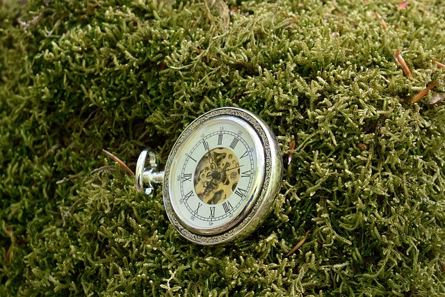 down watch time beautiful magic green metal second minute silver