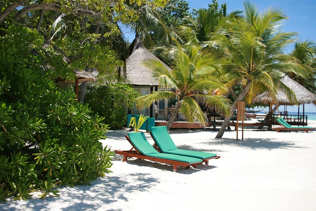 maldive islands nature sunbed vacation summer beach