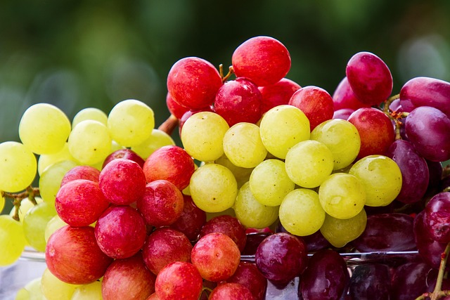 grapes fruit cluster grape fresh fruits fresh fresh grapes harvest products bio ripe ripe grapes cute food healthy vitamins