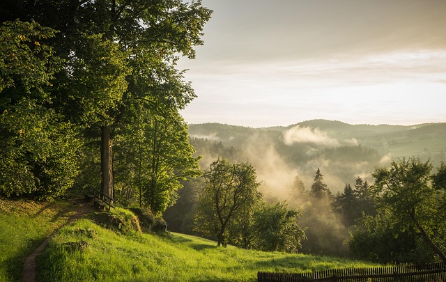 forest fog austria nature lower austria evening atmosphere path landscape sunset homeland rappottenstein grasslands idyll hike