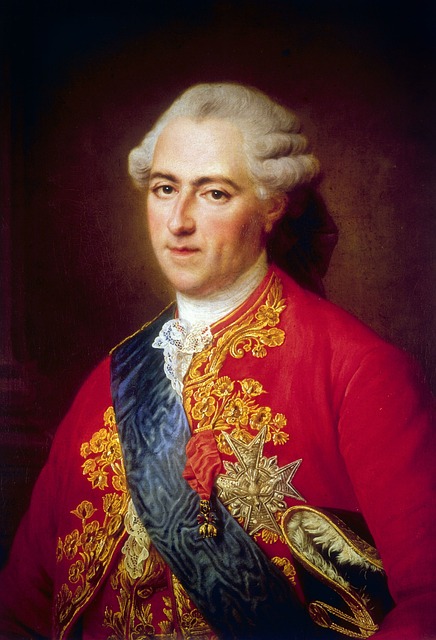 louis 15 king france versailles king versailles versailles versailles versailles versailles
