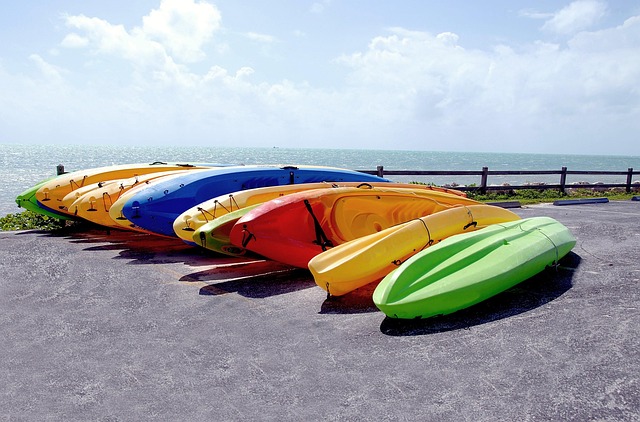 What the Data Doesn't Tell You — 2025 Vacation Rental Fraud