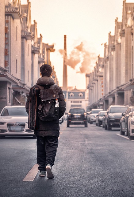 man street vehicle road building go people rear view automotive city chimney alley man people people people people people
