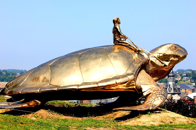 turtle namur landscape jan fabre turtle namur namur namur namur namur