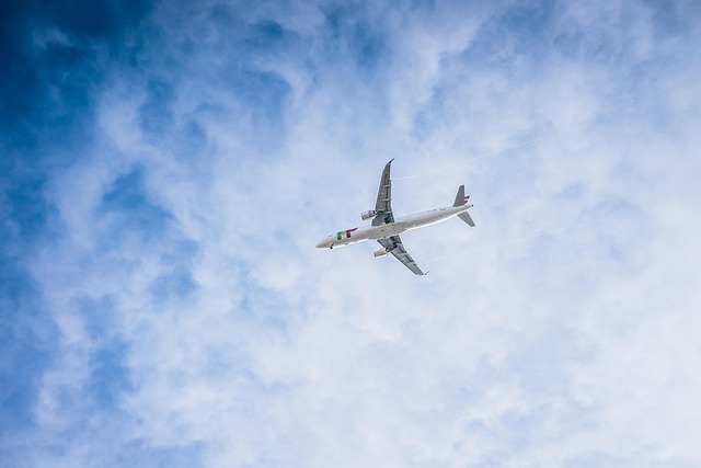 plane flying aviator travel air traffic vacation tourism airline airplane fly trip