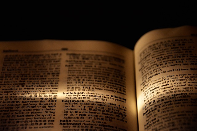 hallelujah dictionary page light book paper praise worship words meaning closeup dark dictionary dictionary dictionary dictio