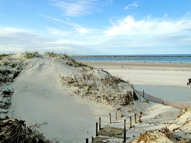 dunes beach sand seaside coast pile ocean shore seashore sea coast coastal nature florida summer florida florida florida fl
