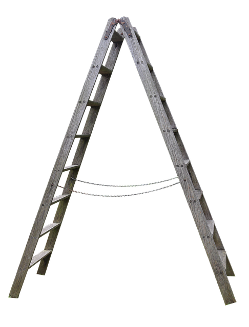 wood ladder nature wooden ladder garden boost