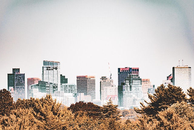 buildings skyline city trees park urban boston architecture scenic sky business office nature travel tourism