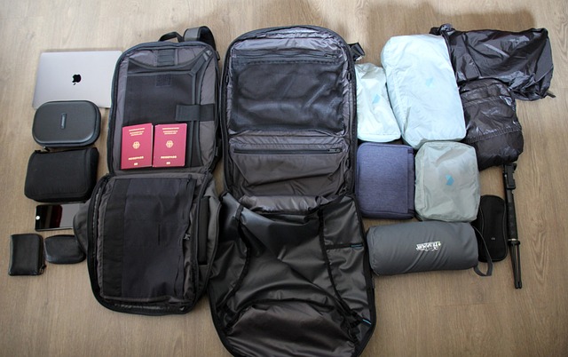 carry on baggage hand baggage regulations passport german passport german minimalist frugalist germany backpack luggage to travel