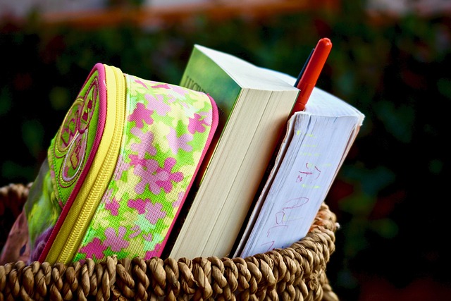 books reading free time instruction study light culture colors case pen education reflection boys school