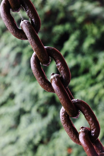 Build vs. Buy vs. Bolt-On — 2026 Chain-of-Custody Compliance