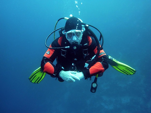 diver scuba divers dive underwater underwater world diving suit nature sea water breathing apparatus scuba diving air bubbles ho
