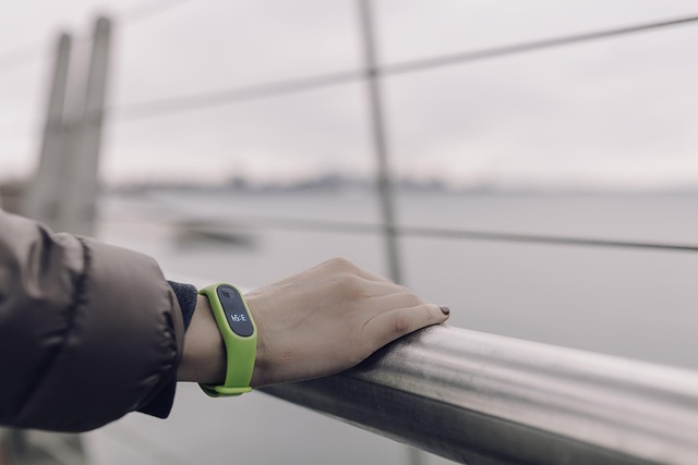 green band exercise tracker fitness health fitbit display statistics wristband fashion gray health gray fitness gray exercise