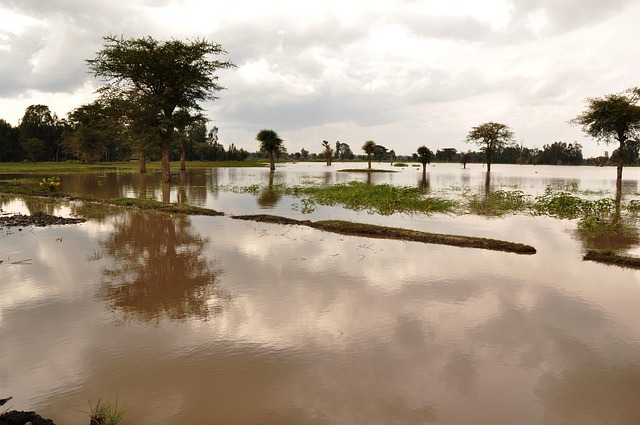 flood flooding wet water damage disaster weather nature insurance river flooded rain storm environment danger climate global