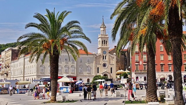 croatia split historic center nature europe summer palm trees