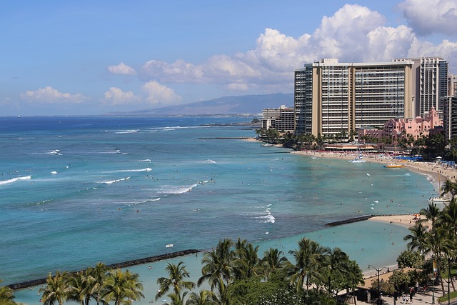 beach waikiki nature ocean honolulu hawaii oahu