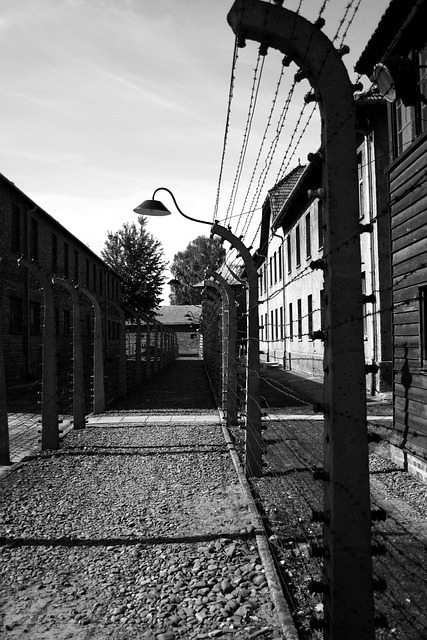 auschwitz perimeter fence corridor electrified barbed wire poland oswiecim