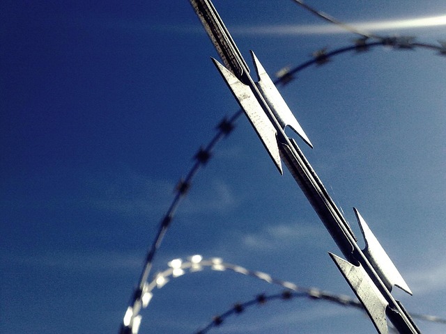 wiring wire perimeter fence barbed wire risk metal caution