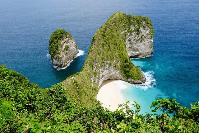 bali indonesia nature kelingking sea island tree forest