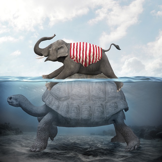 manipulation jumbo nature turtle sea under the water