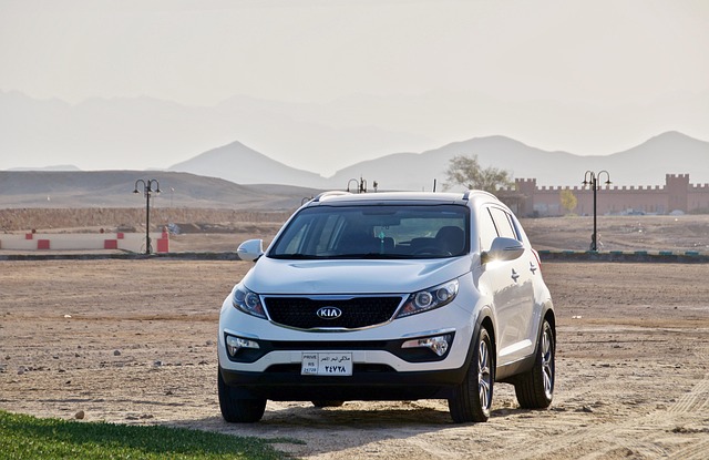 car desert sand nature car wallpapers egypt hot kia
