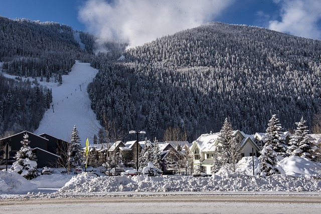 telluride colorado ski nature ski resort outdoors snow winter mountains trees cold landscape town