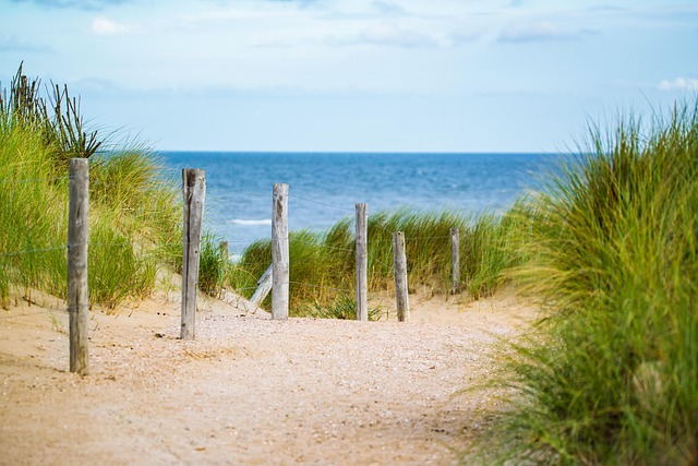 thin sea fence water vacation north sea nature path sand beach landscape travel