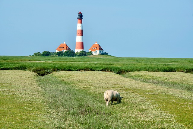 lighthouse sea nature tower westerhever north sea sheep landscape