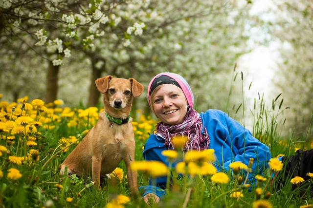 team woman animal dog human portrait a dog human team pet teamwork together