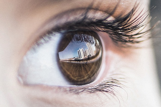 eye girl human sight vision macro beauty eye eye eye eye eye