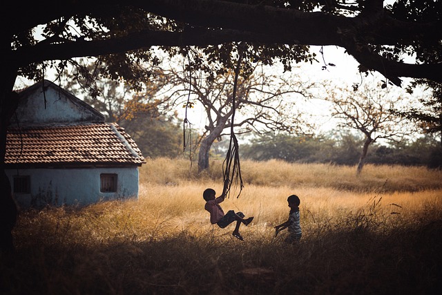 child play swing nature happiness fun together relax summer child swing swing swing swing nature happiness happiness happin