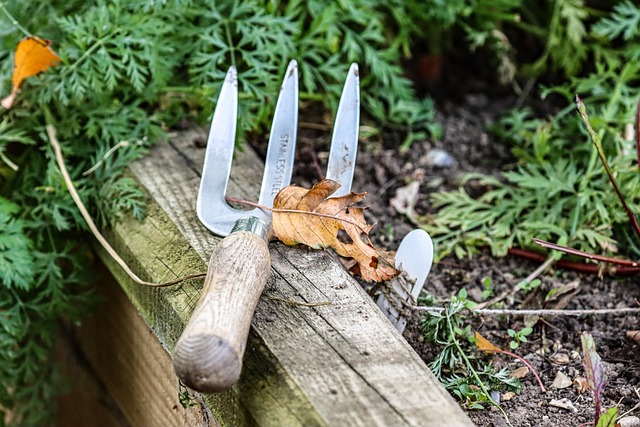 gardening fork nature garden fork spading fork digging fork outdoors garden garden fork garden fork garden fork garden fork gard