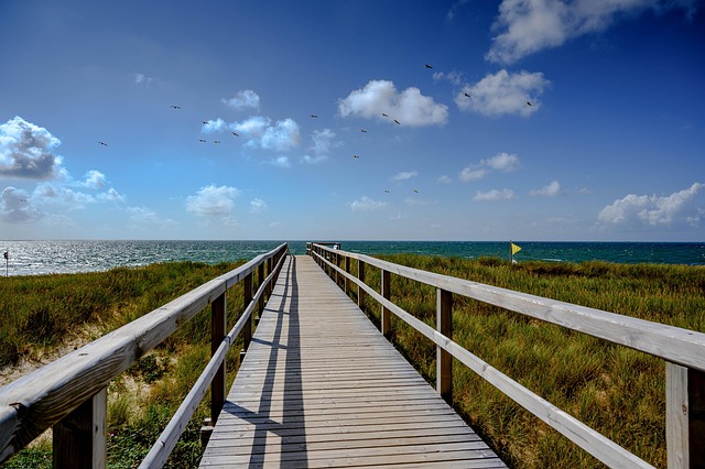 web a belt of dunes sea nature water north sea beach landscape heaven duhnen relaxation sun sand buzzer