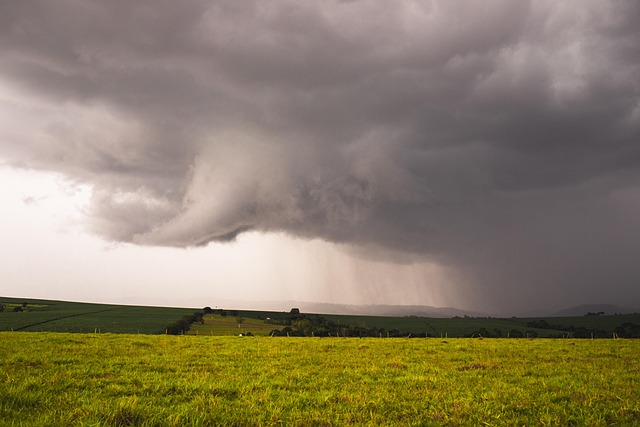 rain temporal nature the fallout field clouds storm lightning temporal temporal temporal temporal temporal lightning