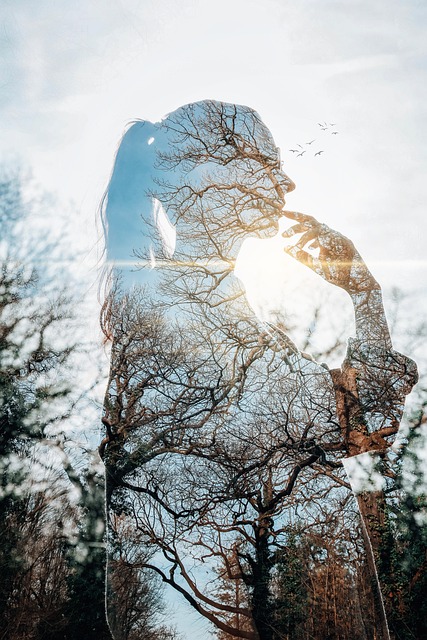 nature forest girl woman young female person sunlight forest forest girl girl girl girl girl female female person person
