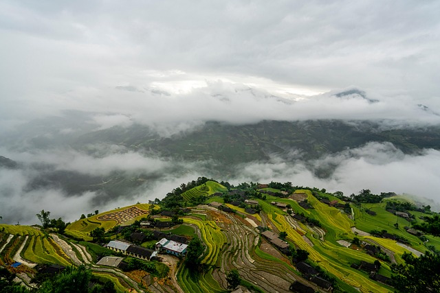 residential paddy field nature step cloud mountain curve dawn