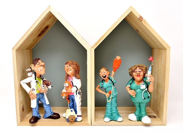 vet animals veterinarian hospital nature nurses pet characters help heal doctor fun emergency service dog injured healing ow