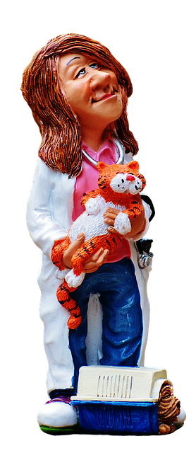 veterinarian figure cute fun jobs job cut out cutting out isolated exemption vet veterinarian veterinarian vet vet vet vet