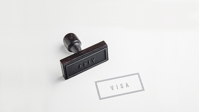 visa paper passport visa stamp rubber stamp visa visa visa visa visa