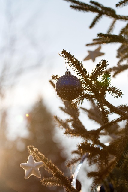 ornament christmas decoration brilliance dec seasonal holiday wood bor tradition blue clone needles color new year star ball