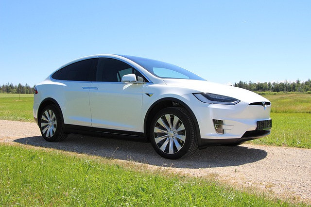 tesla electric car vehicle car automobile model x tesla tesla tesla tesla tesla