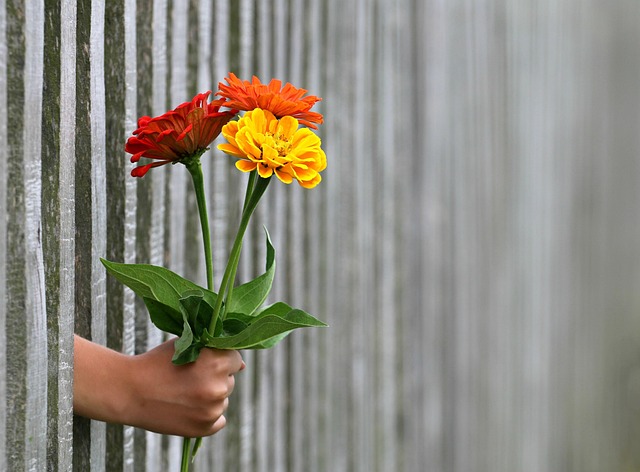 Early-Bird vs Sweet Spot vs Last-Minute — 21-Day Fence Effect