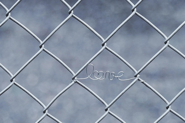 love wire fence in love heart locked in wire mesh grid metal closed love love love love love fence heart