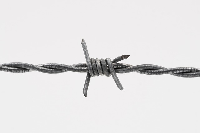 barbed wire fence wire delimitation security barrier validation protection protect danger dangerous barbed wire barbed wire bar