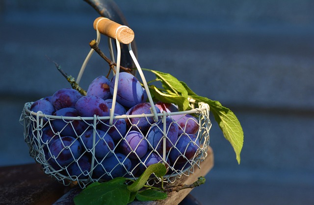 Worked Case — 5,000 ppm TREO Basket Math