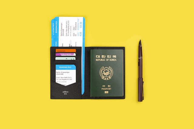 sella capital republic of korea passport passport korean passport korea passport passport case black passport case black passport cov